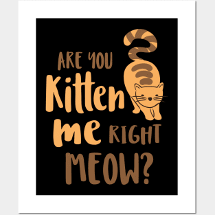 Are You Kitten Me Right Meow Funny Cats And Kittens Posters and Art